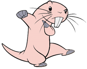 Rufus the naked mole rat photo 28